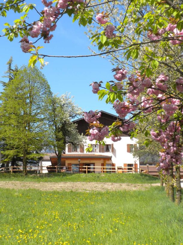 Agriturismo Cascina Dolomiti - Cascina Dolomiti - Relax